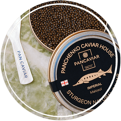 PanCaviar Offer
