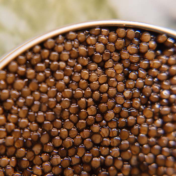 gallery image img-fluid